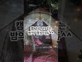 캠핑 출발하는 이유 camping 솔캠 미즈캠 shorts