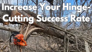 A Tutorial on Hinge-cutting Trees for Deer- Trees that Hinge well and Summer Vs Winter Hinge-Cutting