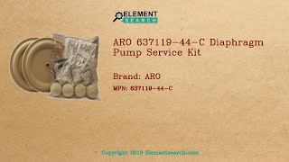 ARO 637119-44-C Diaphragm Pump Service Kit