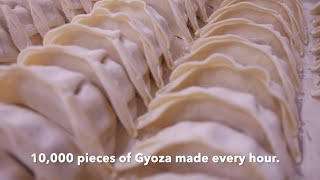 [Gyoza] Machine in Action to make 10,000 pieces of gyoza every hour!