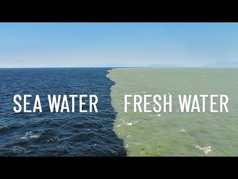 What is it called when saltwater and freshwater meet?