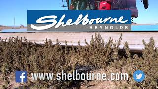 Hemp Harvester Harvesting Hemp 2020 for CBD Oil |  Shelbourne Reynolds Hemp Stripper Header