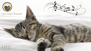 10 Hours of Relaxing Music for Cats - Harp Music to Calm Cats
