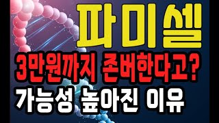 파미셀 3만원까지 존버한다고? 가능성 높아진 이유! 파미셀 주가 전망