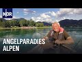 Renken fischen in den Seen der Alpen | Rute raus, der Spaß beginnt! | NDR Doku