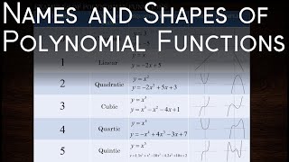 Names and Shapes of Polynomial Functions