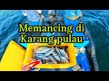 Umpan Bulu Ayam Ikan AUTO Sambar.. Hampir Penuh Tong Dengan Ikan!