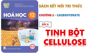 HÓA 12 - KẾT NỐI TRI THỨC - BÀI 6 TINH BỘT VÀ  CELLULOSE