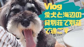 ワンコと旅行Vlog/専用ドッグラン付き貸別荘/BBQ/パラソルクラブハウス/part３