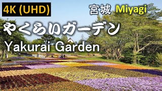 【4K】宮城 やくらいガーデン  Miyagi Yakurai Garden