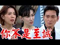 一家團圓│EP287 至誠見以喬眼淚心痛霸氣買下得勝秘密基地 何麗懷疑至誠身分 Family Reunion│ Vidol.tv