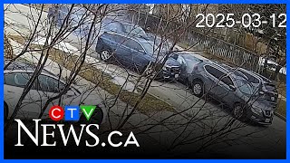 High-risk takedown of retail robbery suspects caught on camera