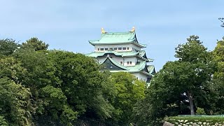 鯉の池🐟名古屋城のお堀の鯉　Koi pond ,koi fish in the moat of Nagoya Castle  #shorts