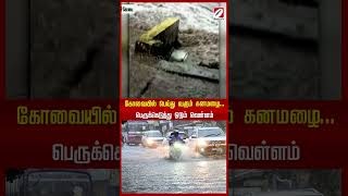 கோவையில் பெய்து வரும் கனமழை    பெருக்கெடுத்து ஓடும் வெள்ளம் #sathiyamheadlines #sathiyamtv