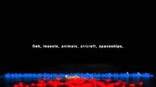 Lw11TextLARGE.avi