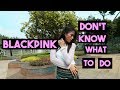 BLACKPINK - Don't Know What to Do Dance Cover