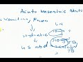 acute mesenteric lymphadenitis acute mesenteric adenitis