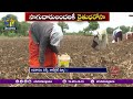 rythu bharosa only to land under cultivation సాగు చేసే రైతులందరికీ రైతుభరోసా