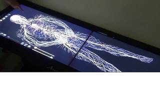 Anatomage Table Demonstration