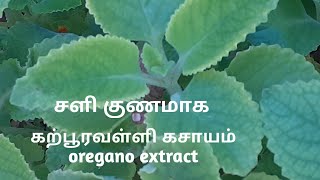 கற்பூரவள்ளி கசாயம்/  Oregano extract / karpuravalli kashayam