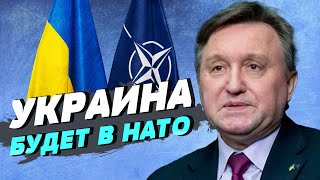 У Украины прямая дорога в НАТО — Сергей Джердж