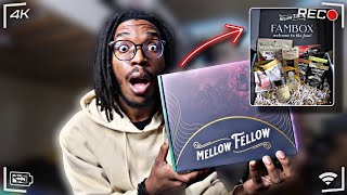 THE FAMBOX HAS EVERYTHING YOU NEED! | Mellow Fellow