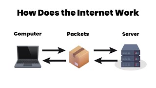 How Does the Internet Work? A Beginner's Guide to the World Wide Web