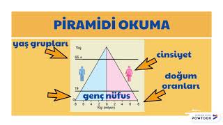 NÜFUS PİRAMİTLERİ VE ÖZELLİKLERİ