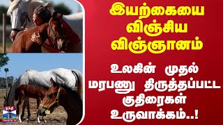 இயற்கையை விஞ்சிய விஞ்ஞானம்... உலகின் முதல் மரபணு திருத்தப்பட்ட குதிரைகள் உருவாக்கம்..!