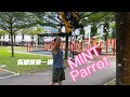 MINT parrot 测试视频 ，一起来看看做的怎么样吧