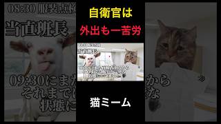 自衛官の休日外出の話#猫ミーム #海上自衛隊 #日常