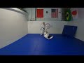 how to do mae mawari ukemi forward rolling breakfall