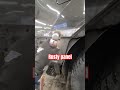 rusty car panel auto car collisionrepair automobile automotive