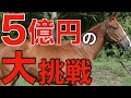 賞金5億円を獲りにいく！日本馬のゴールデンイーグル挑戦が定着しそう。