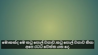 මොකක්ද මෙ කටු පොල් වගාව.