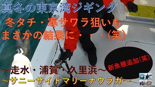 【東京湾ジギング】レンタルボート(YFR24)で真冬のタチウオ・サワラを狙ったら意外な結果になってしまった・・・(笑)