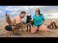 SEAFOOD FEAST - MUD CRAB Catch and Cook on Remote Beach