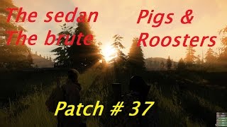 A day in Miscreated part 14 Patch #37 The sedan, the brute,pigs \u0026 roosters