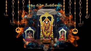 Saturday Darshanam 15 ఫిబ్రవరి #saturday #ainavilli #nallacheruvu #venkateswaraswamy #amalapuram