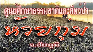 เส้นทางรถยนต์ตั้งแต่ปากทางจนถึงลานกางเต็นท์ห้วยกุ่ม | 08 January 2022 |