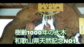 おもろい夫婦の毎日　北辰妙見神社参拝　かつらぎ町滝地区から　きょうちくとう