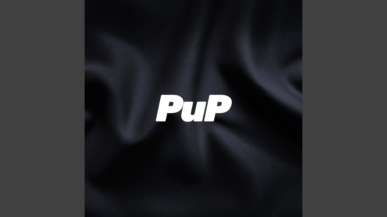 Pup Instrumental Youtube Music