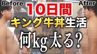 【すき家】10日間\