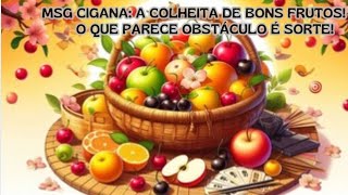 📨💃MSG CIGANA: 🍒A COLHEITA de BONS FRUTOS! O que parece OBSTÁCULO É SORTE!🍀