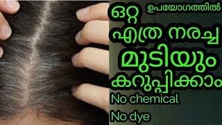 എത്ര നരച്ച മുടിയും ഒറ്റ ഉപയോഗത്തിൽ കറുപ്  Grey to black hair |Turn grey hair to black hair instantly