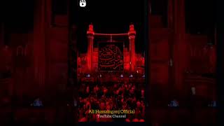 Sahadat Imam Ali as | 21 Ramzan 2023 | Meesum Abbas | Roza Daron Qayamat Ke Din Hain | #shortsvideo