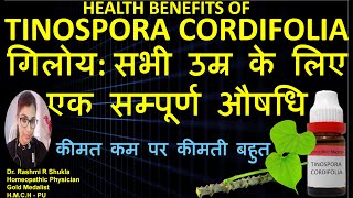 Tinospora Cordifolia Homeopathic medicine| tinospora Q| गिलोय के होम्योपैथिक प्रयोग