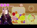 【 スイカゲーム 並走スコアタ 】並走スコアアタック 絶対勝つ！！！！ 【 新人vtuber ぶいぱい ベルモット・ベルーナ】