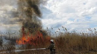 Στάχτη εκατοντάδες χιλιάδες στρέμματα σε Γαλλία, Ισπανία, Πορτογαλία