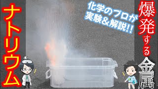 【メーカー勤務の化学薬品のプロが解説】爆発する金属 ナトリウム【実験】